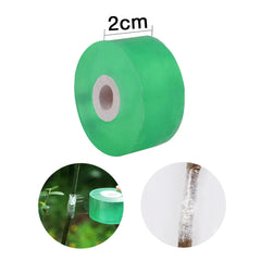 Roll Of Tape For Wraping Branchs Tograher. Color Green